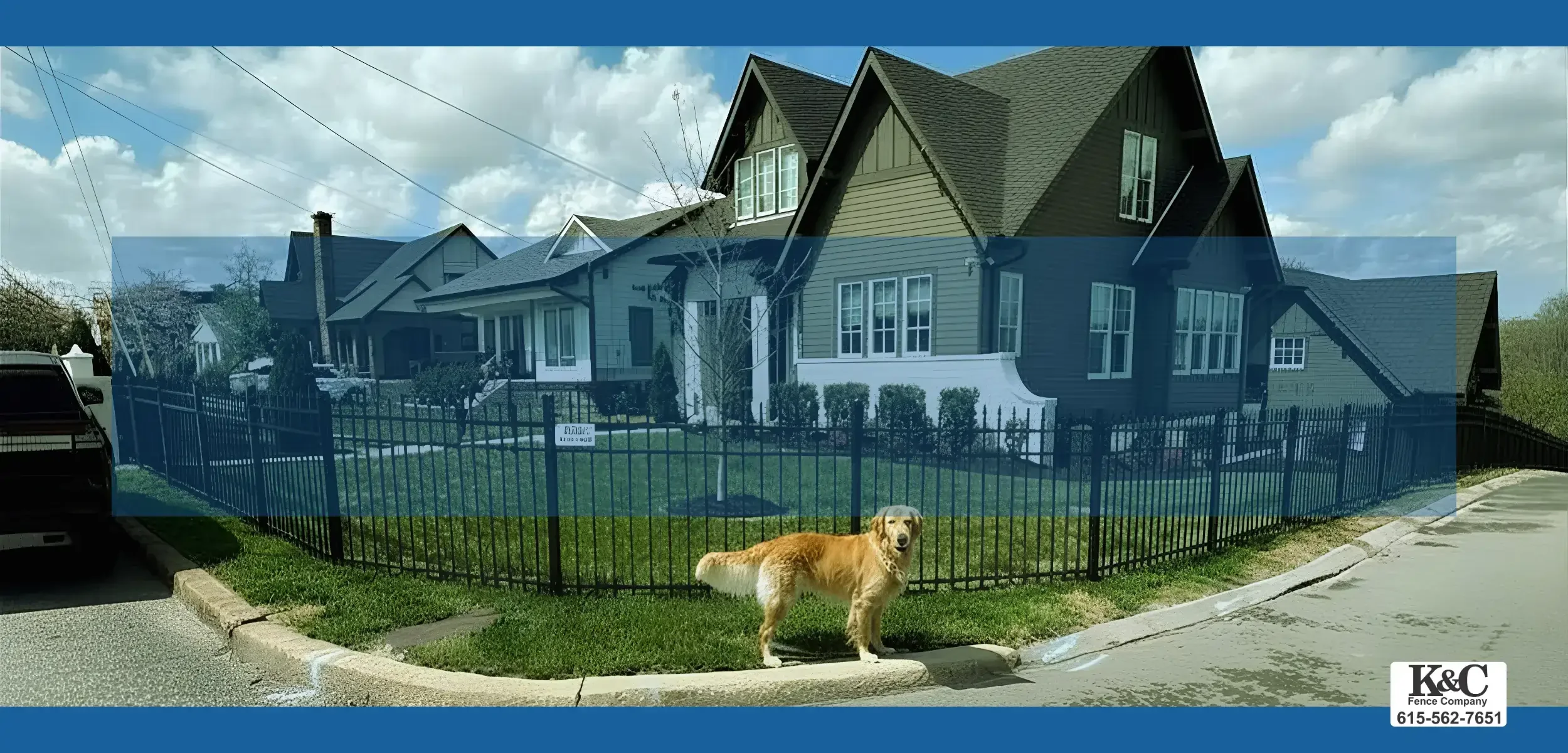 Best Fence Options for Dog Owners (What to Know Before You Buy)