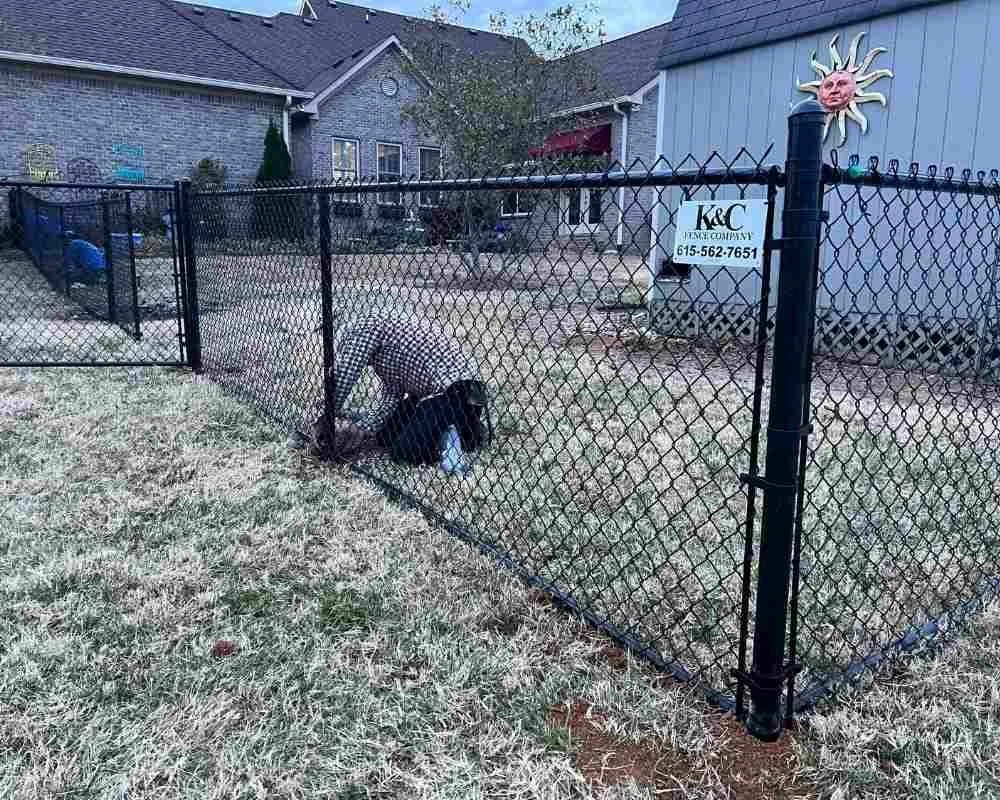 K&C Fence black vinyl chain-link fence and gate enclosing a backyard in Nashville, Tennessee.