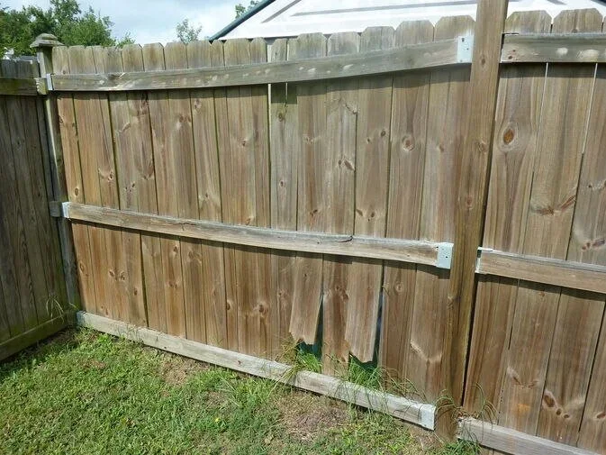 Wood privacy fence installed in Nashville, Tennessee, showing fence boards that are warping, twisting, moving, shrinking, and cracking from weather exposure in a backyard setting.
