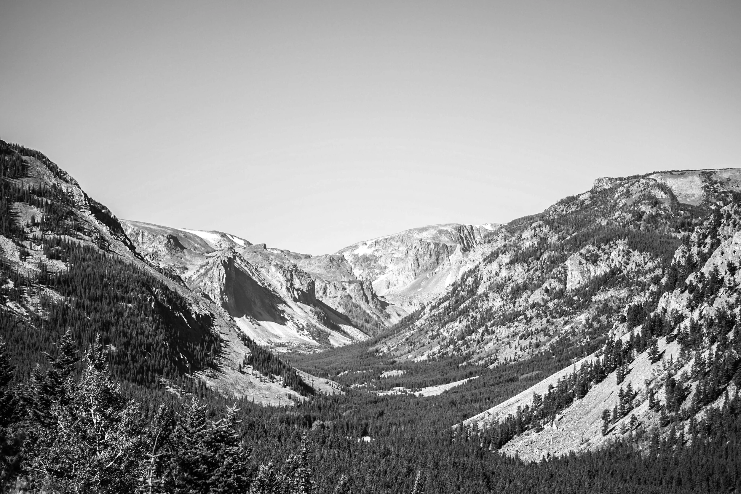 DSC04500-2.jpg