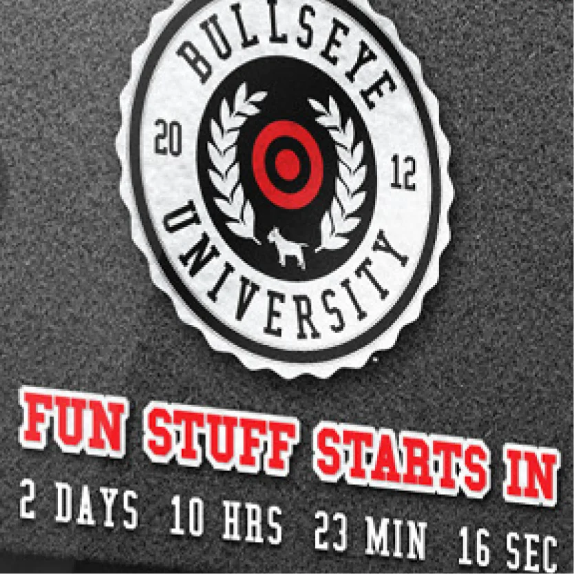 Target - Bullseye Badge.jpg