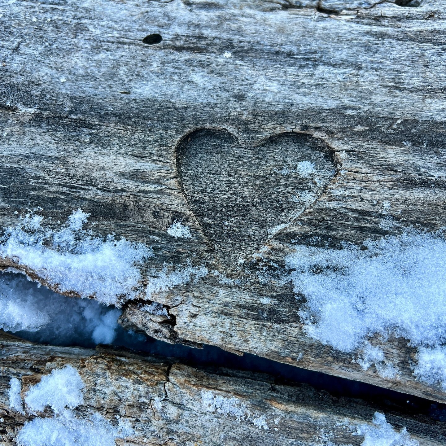 If you look hard enough, you can find love anywhere. Even when life seems to be bitter cold, full of ice and snow. 

💚Ali 

#heartsinnature #naturehealsthesoul #andreagibson #everthrive #justlove❤️ #allyouneedislove❤️ #lovenature💚 #loveiseverywhere