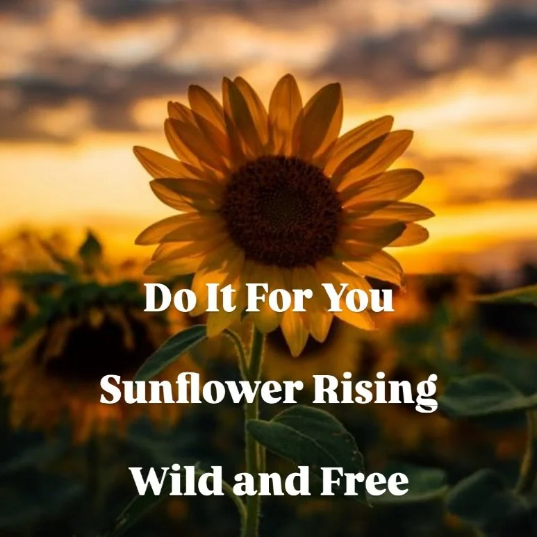 🌻✨ Wild &amp; Free Sunflowers ✨🌻

This isn&rsquo;t just a photoshoot.
It&rsquo;s a movement.

A homecoming to your body.
A celebration of who you are &mdash; right now.

We&rsquo;ve partnered with Bowden SunMaze for a private, intentional sunflower