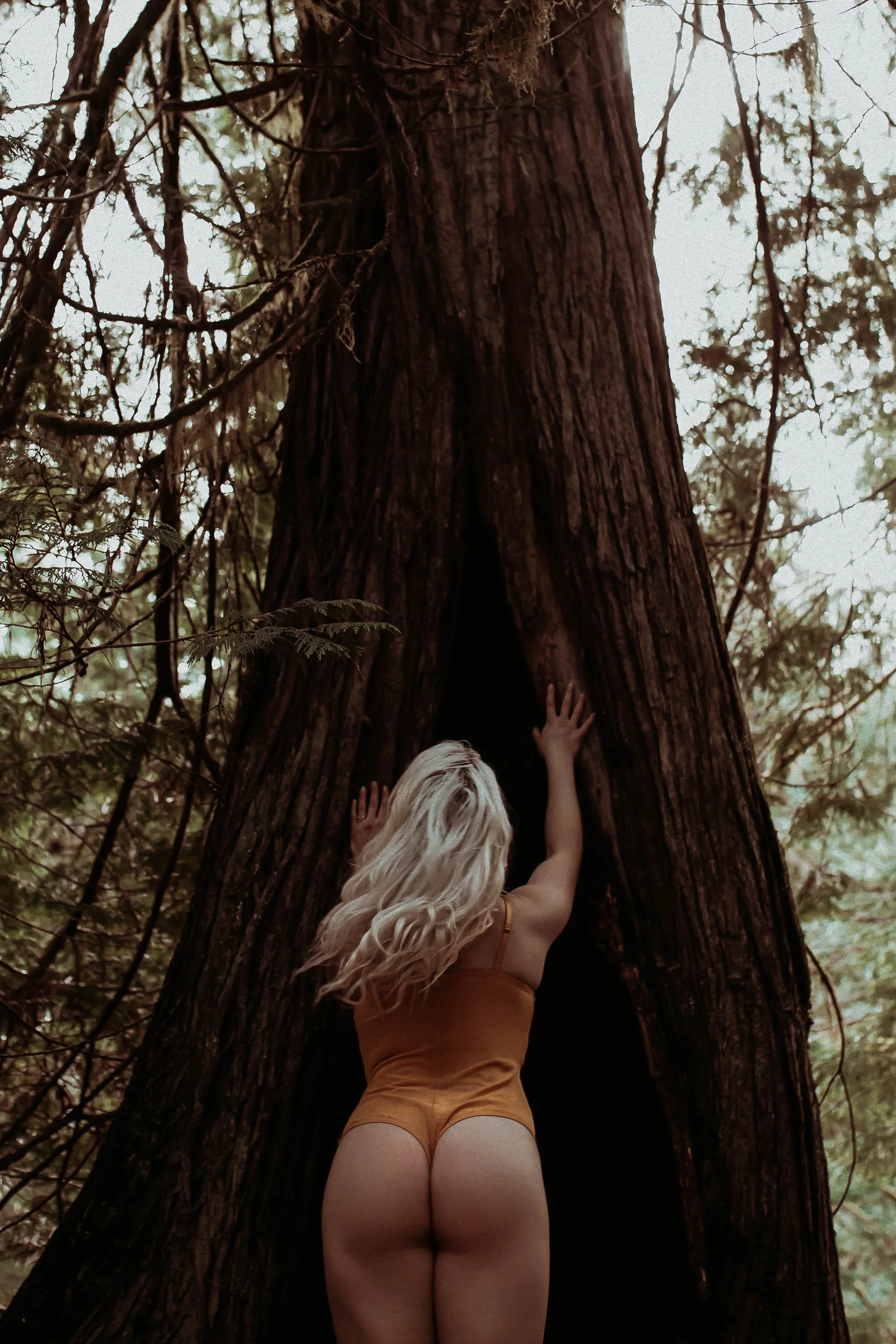 Vancouver island boudoir-9.jpg