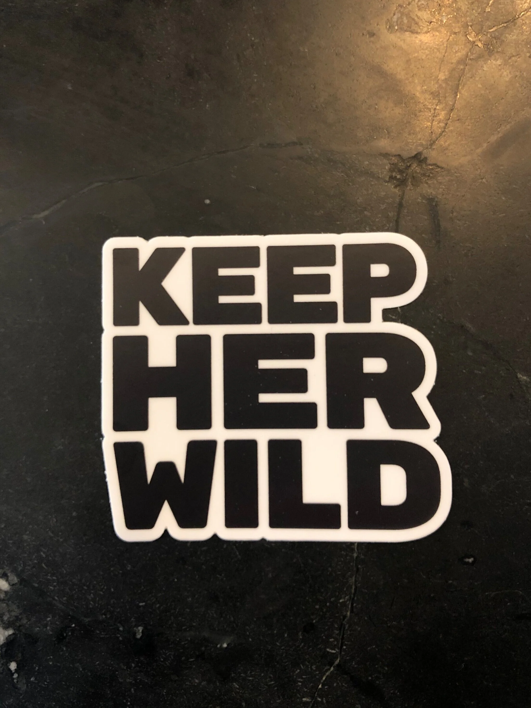 Logo Slap 
