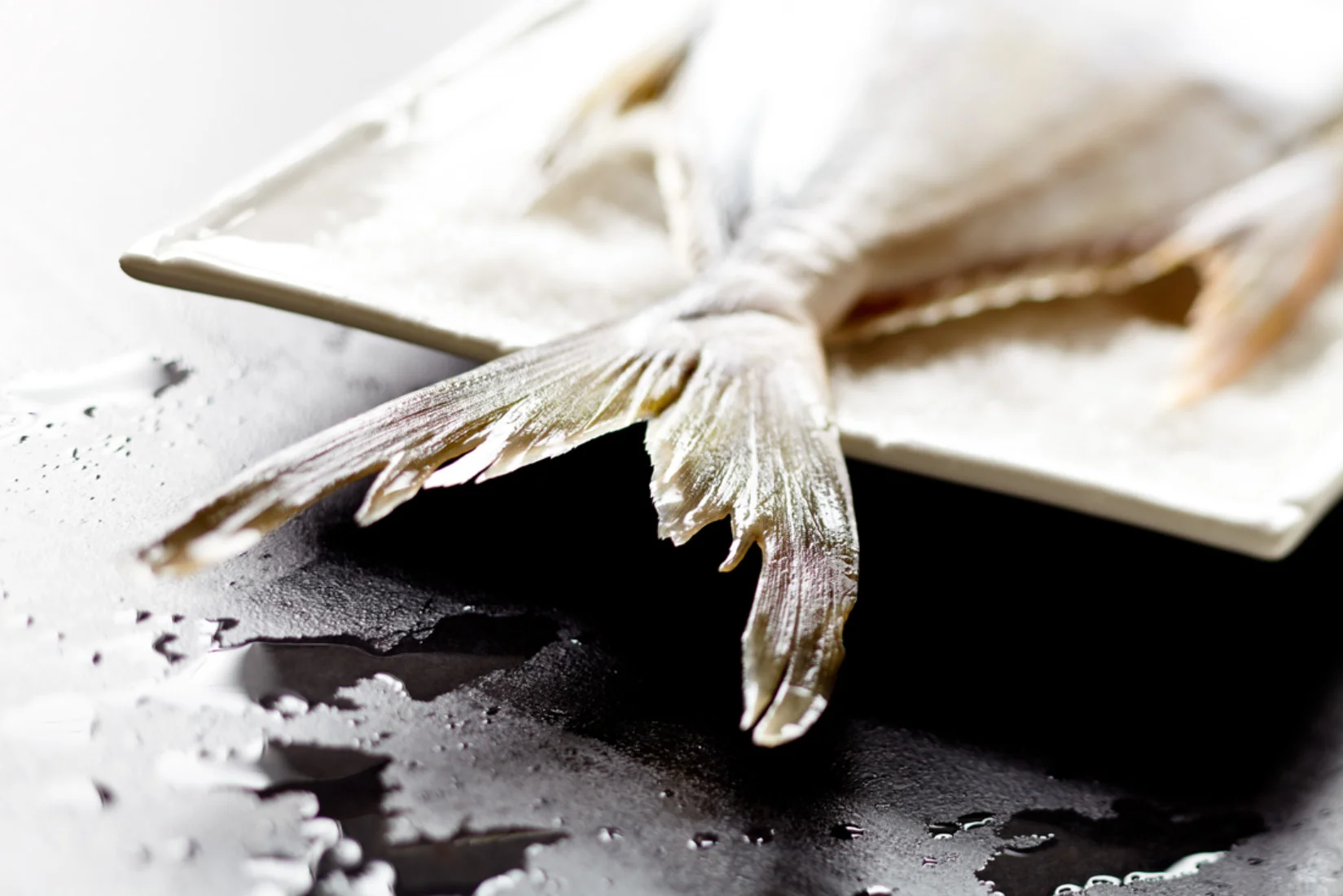 Fish_027.jpg