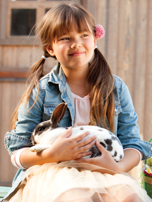 bunny.png