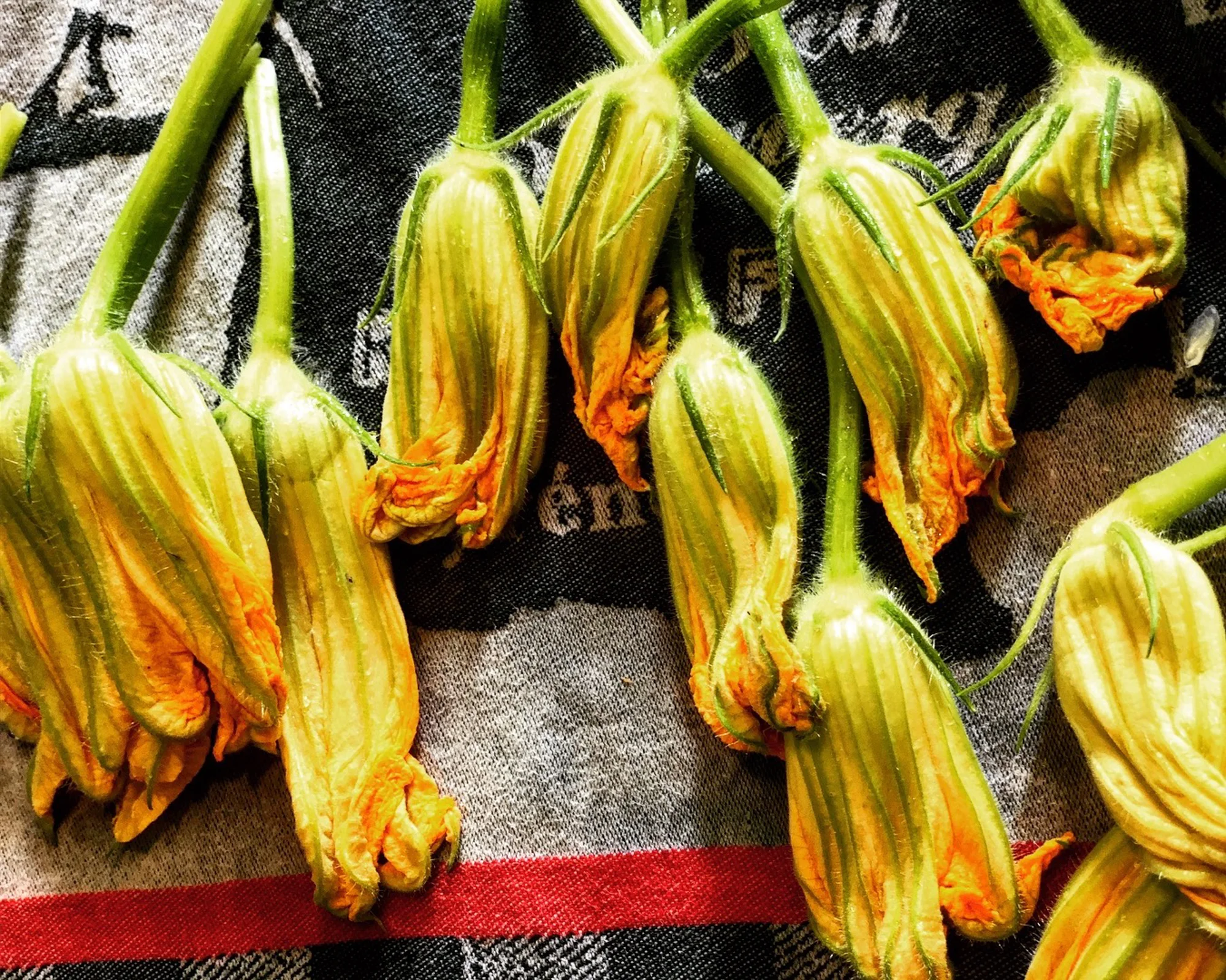 CS-FOOD-034-food-flowers.jpg