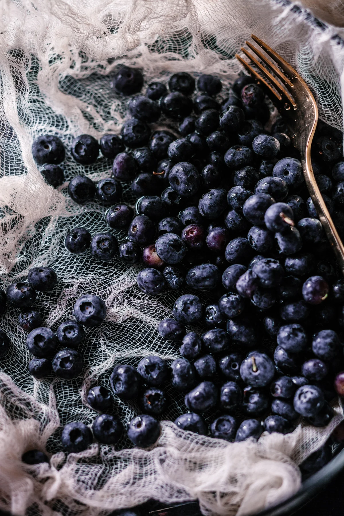 CS-FOOD-067-blueberries.jpg