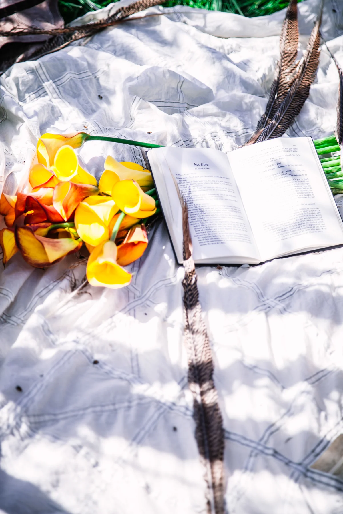 CS-LIFE-006-book.jpg