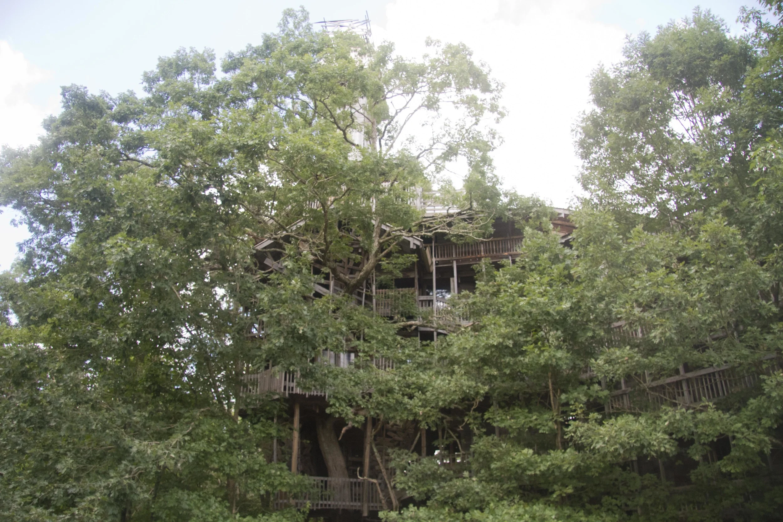 The Minister's Treehouse