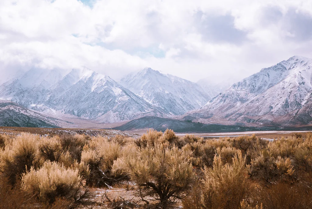 Sierras in Snow Print
