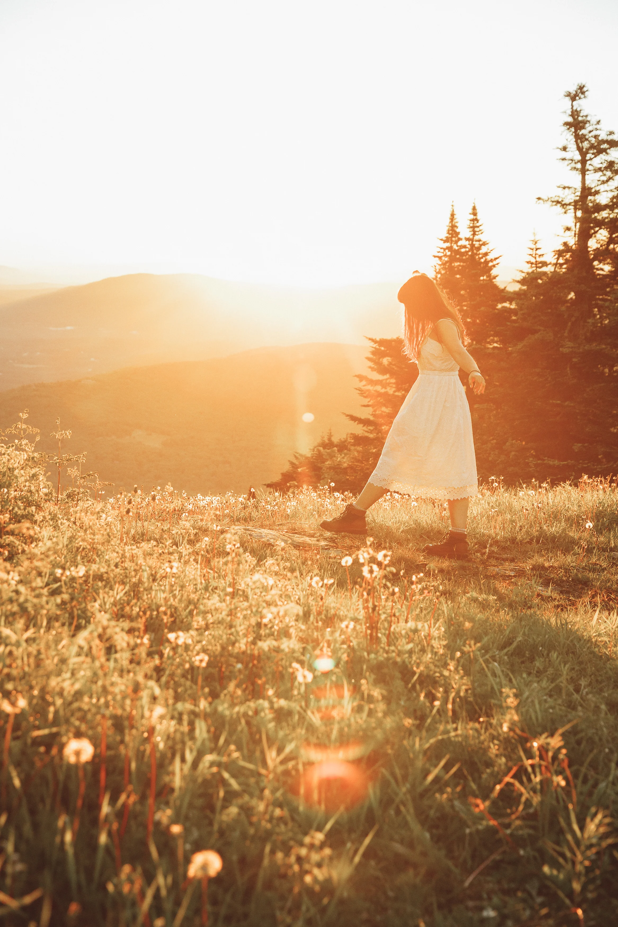 Summer in the Green Mountain State