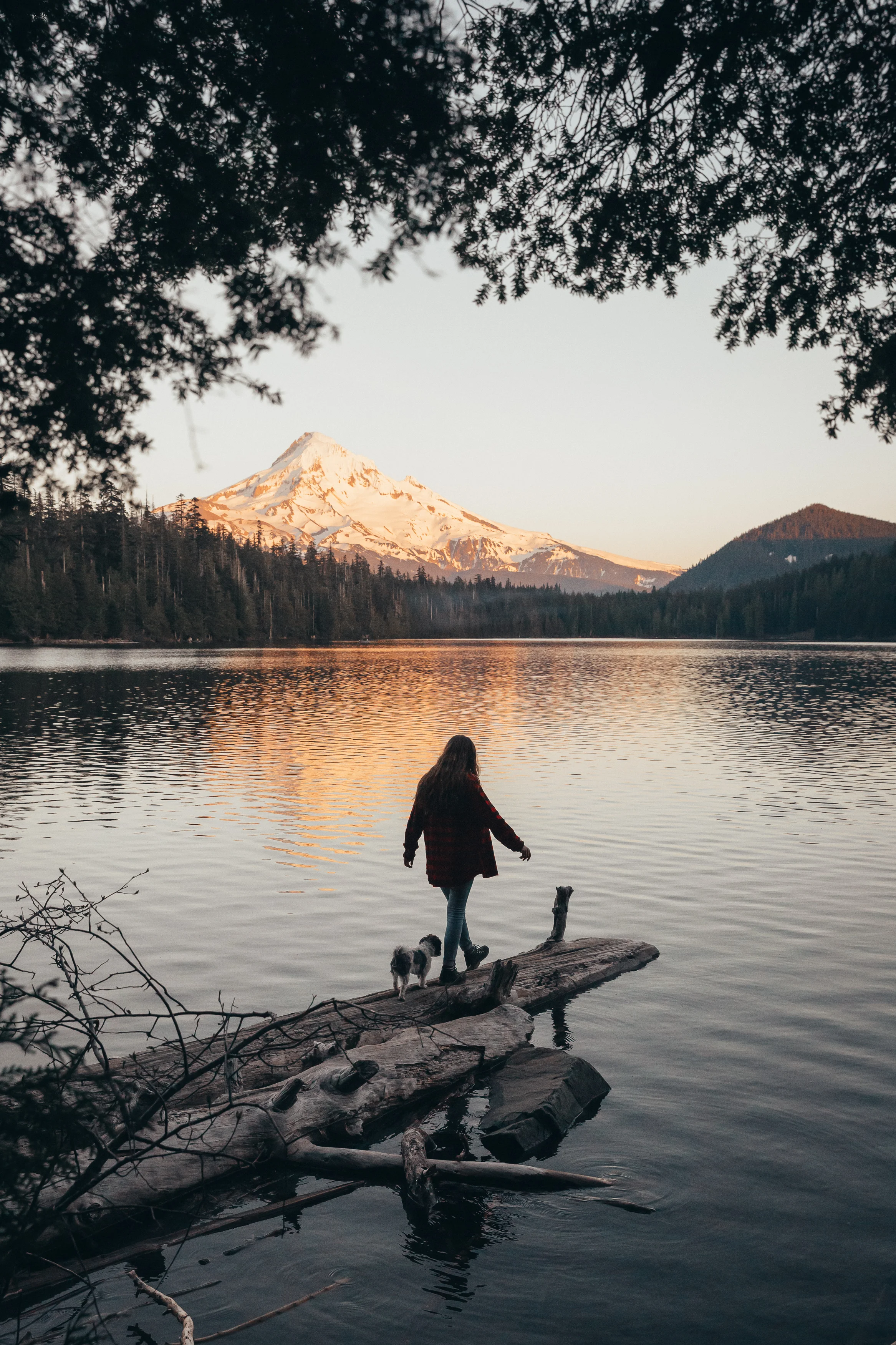 The Journey North : Part One - Washington + Oregon