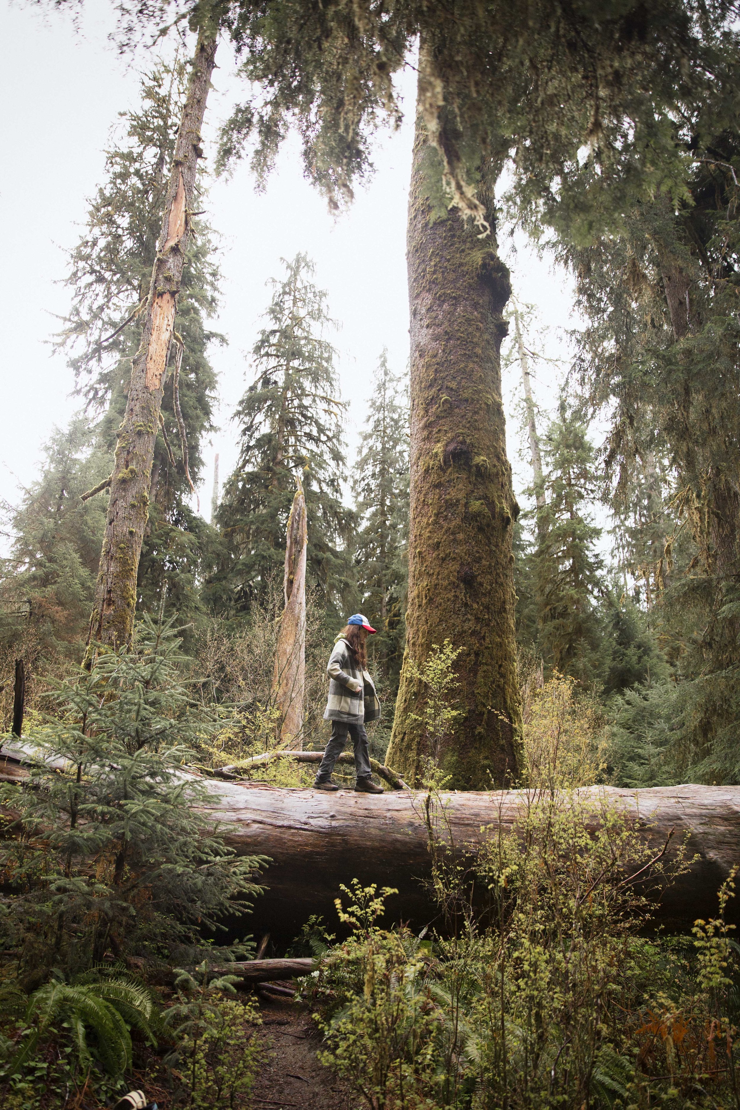 Summer on the Road : Part Four - Washington Coast