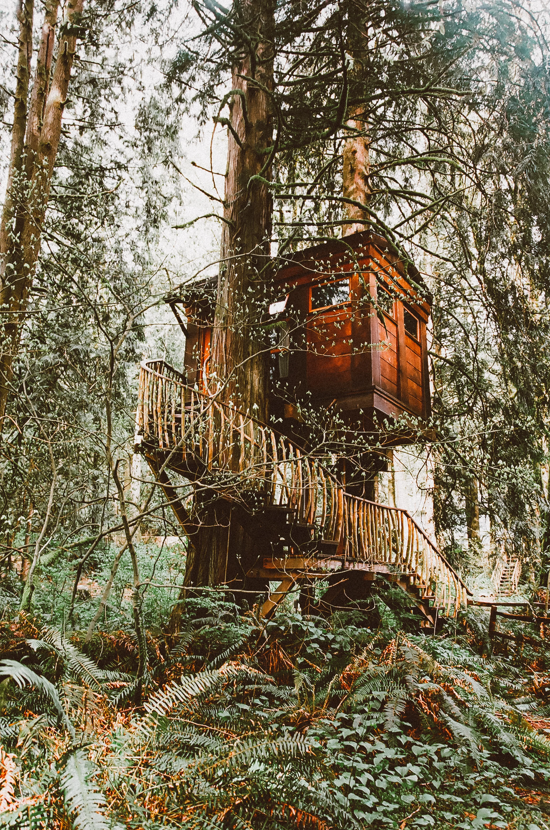 Summer on the Road : Part Three - Washington Mountains