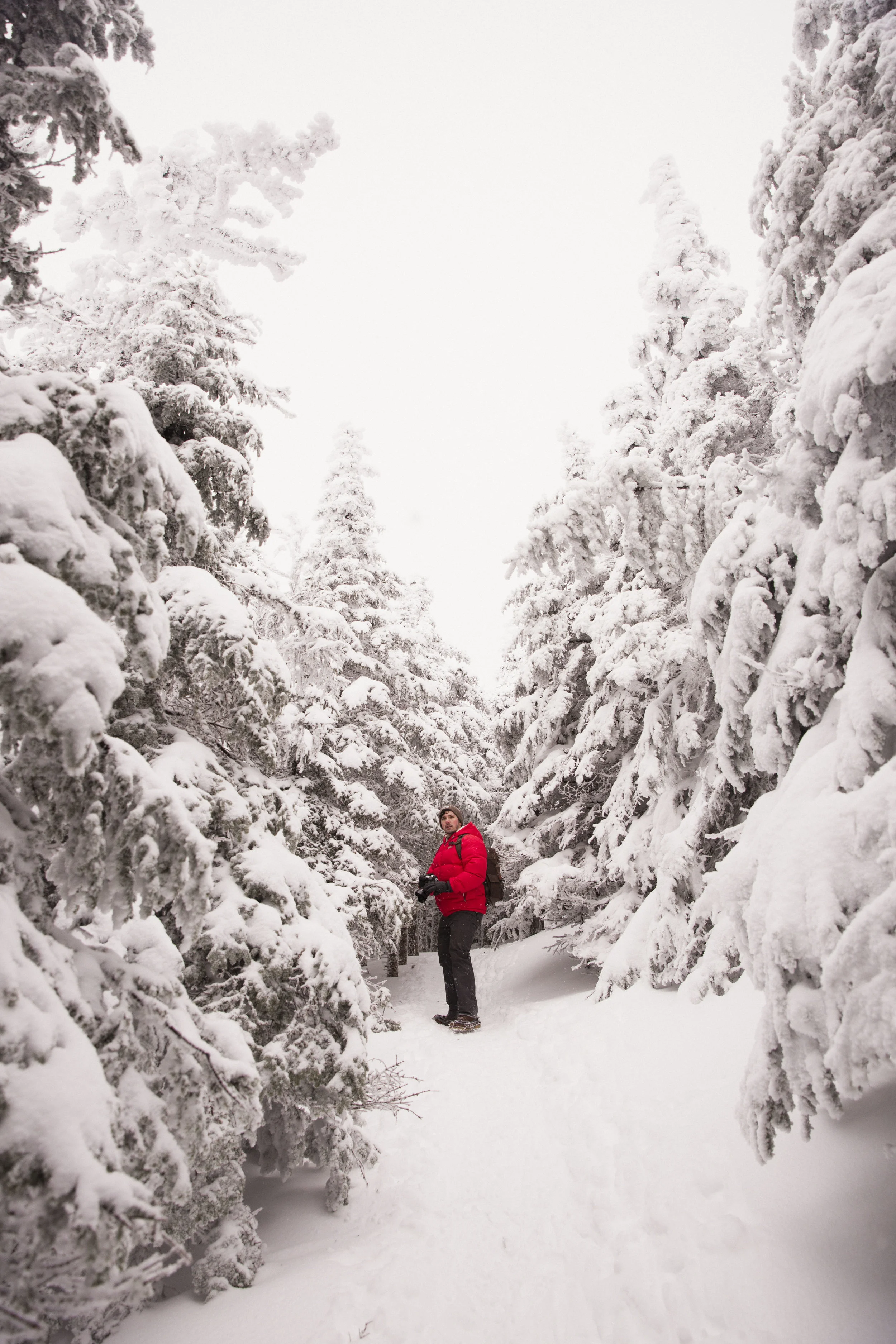 A Weekend in the White Mountains