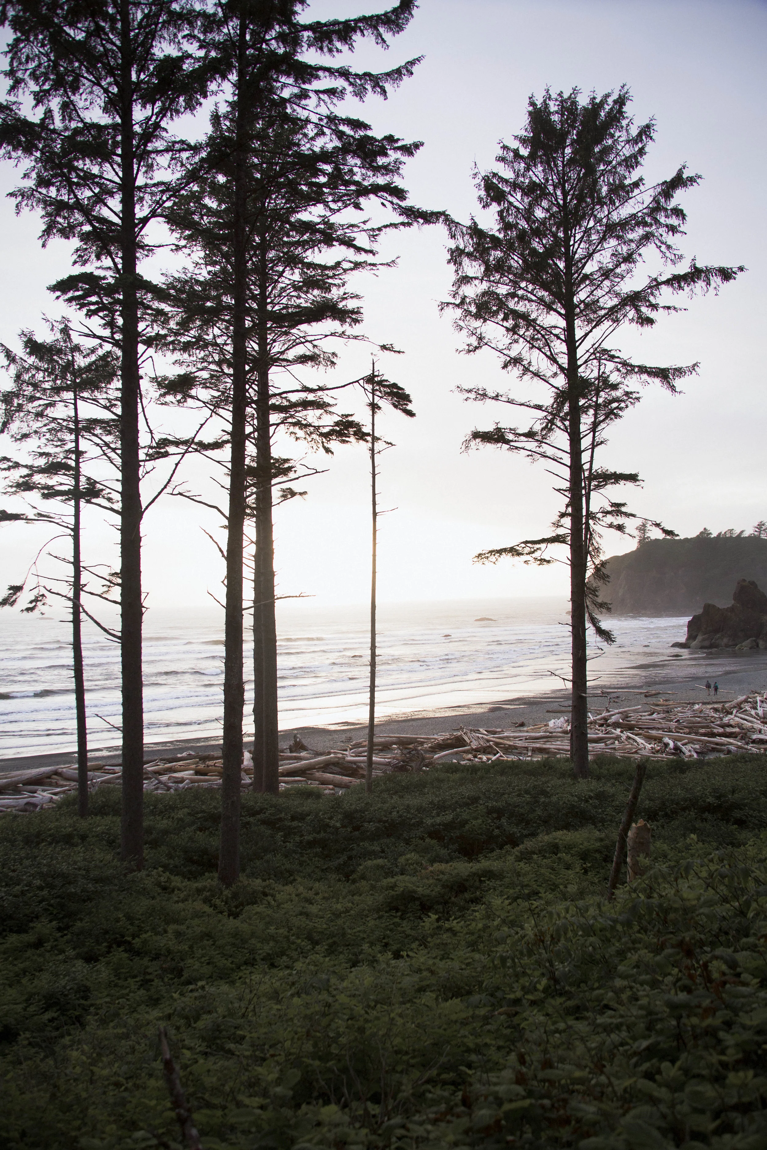 Pacific Wonderland - Part Five