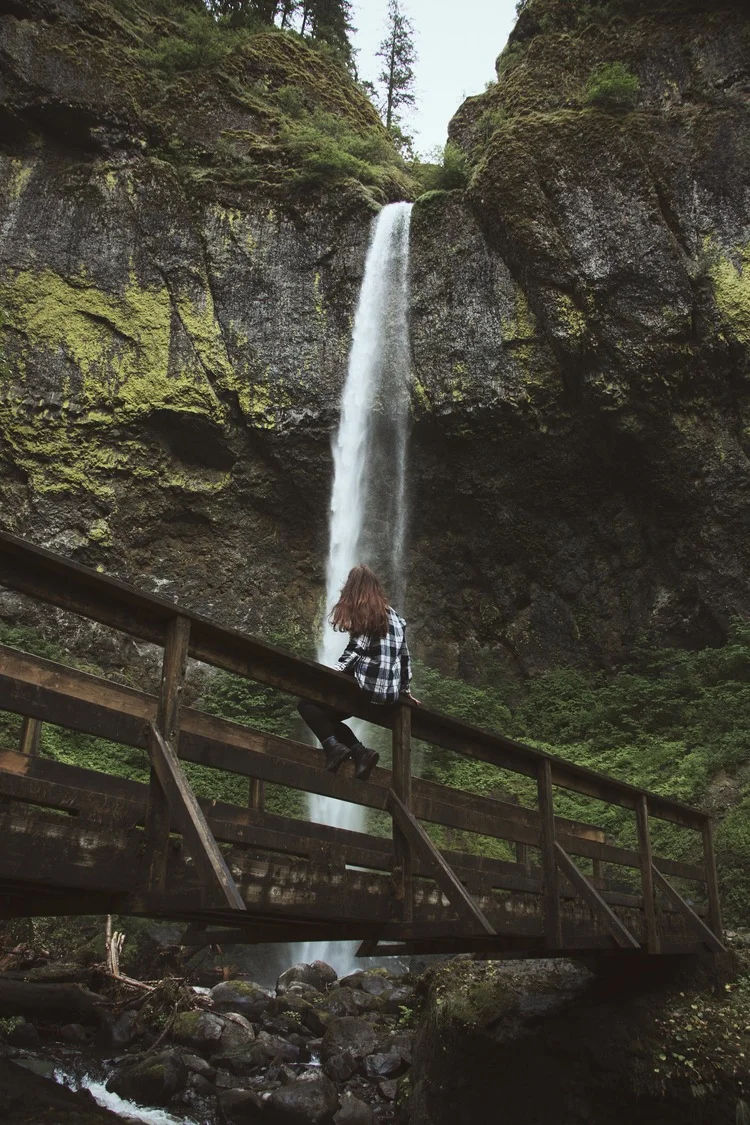 Pacific Wonderland - Part Two