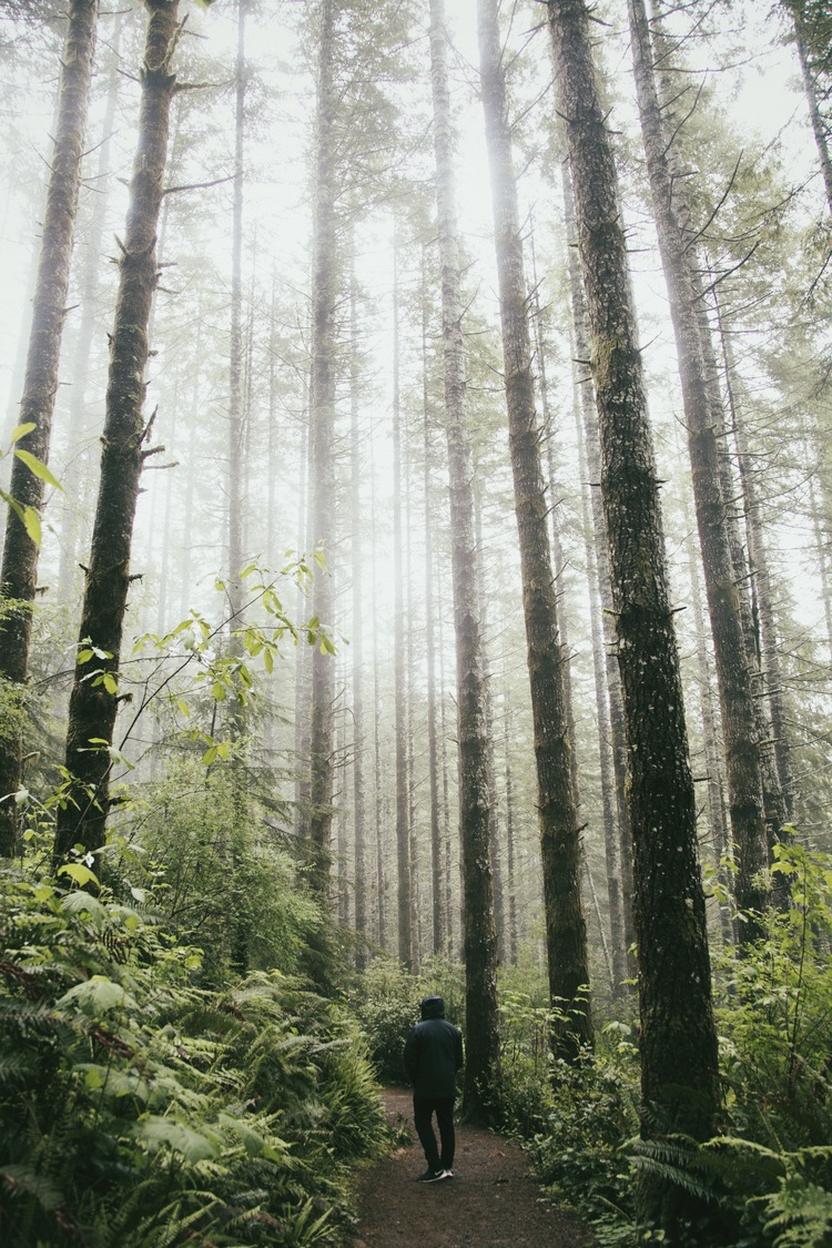 Pacific Wonderland - Part One