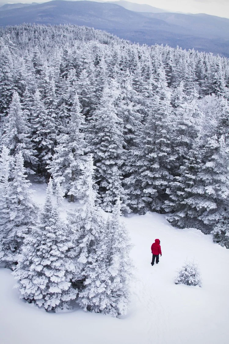 The Mountains are Wild