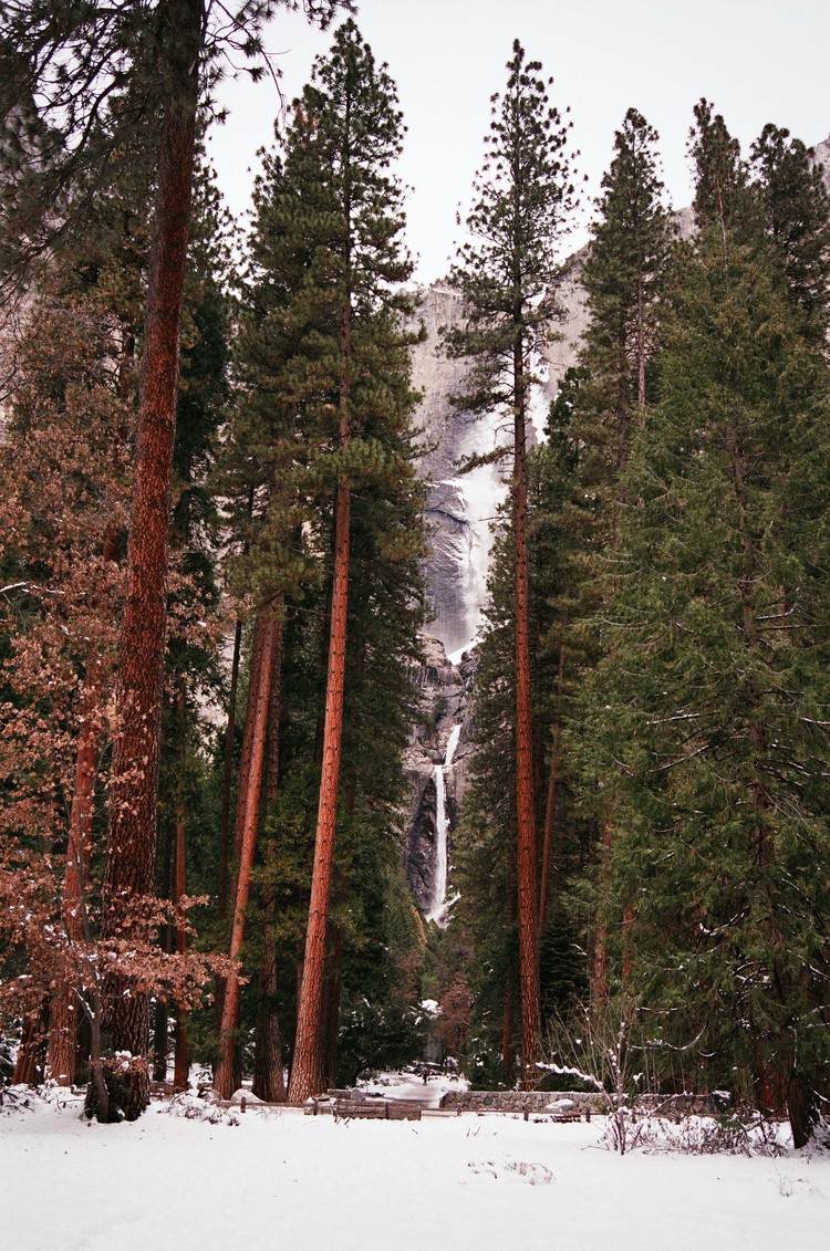 Earth Beneath my Feet