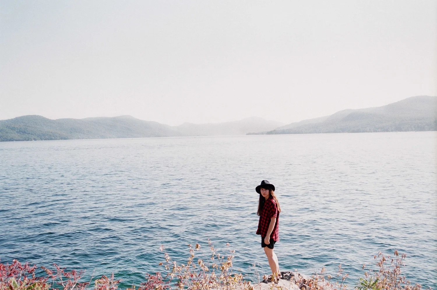 Through a Forest Wilderness