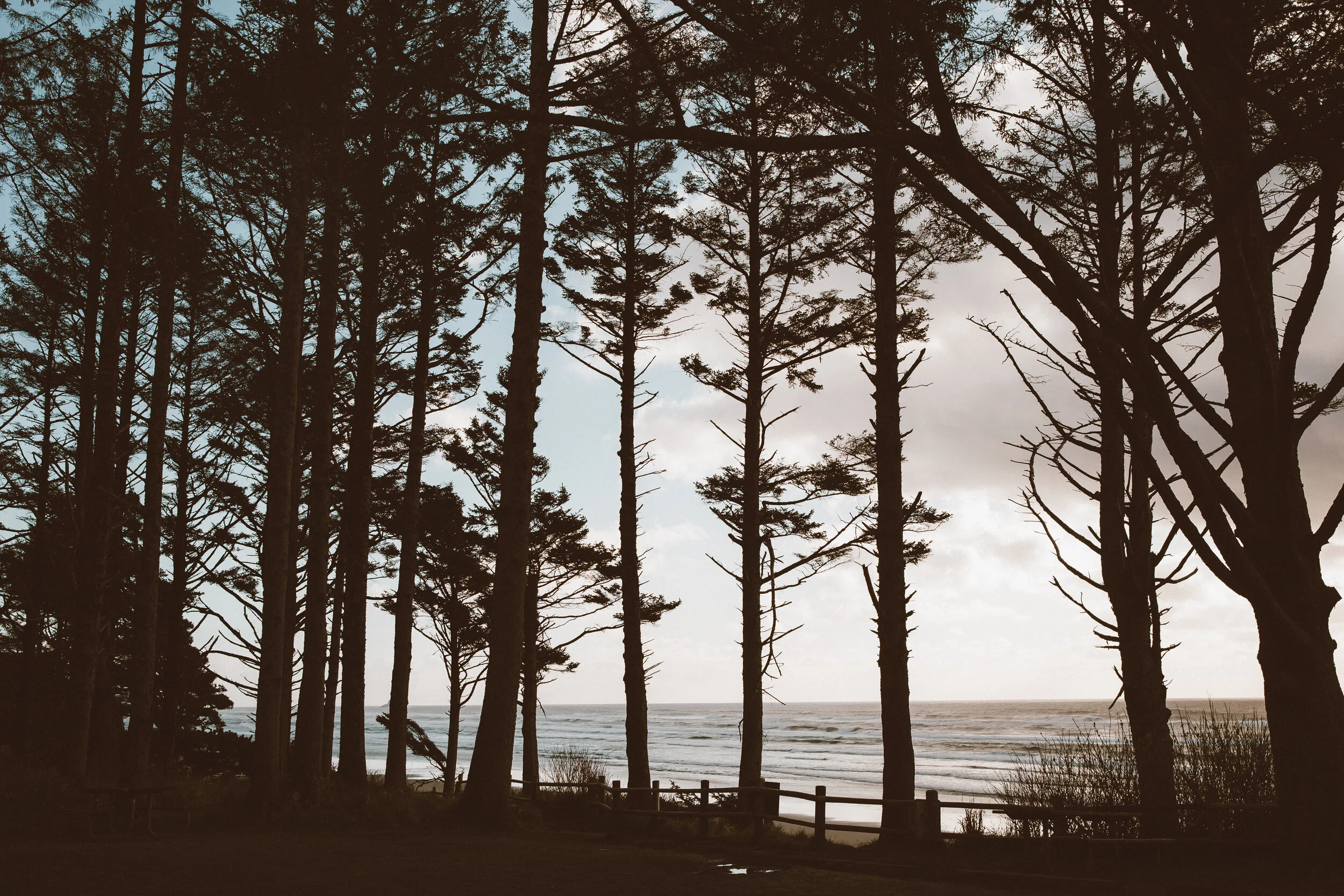 Travel Diary :: Exploring the Oregon Coast 
