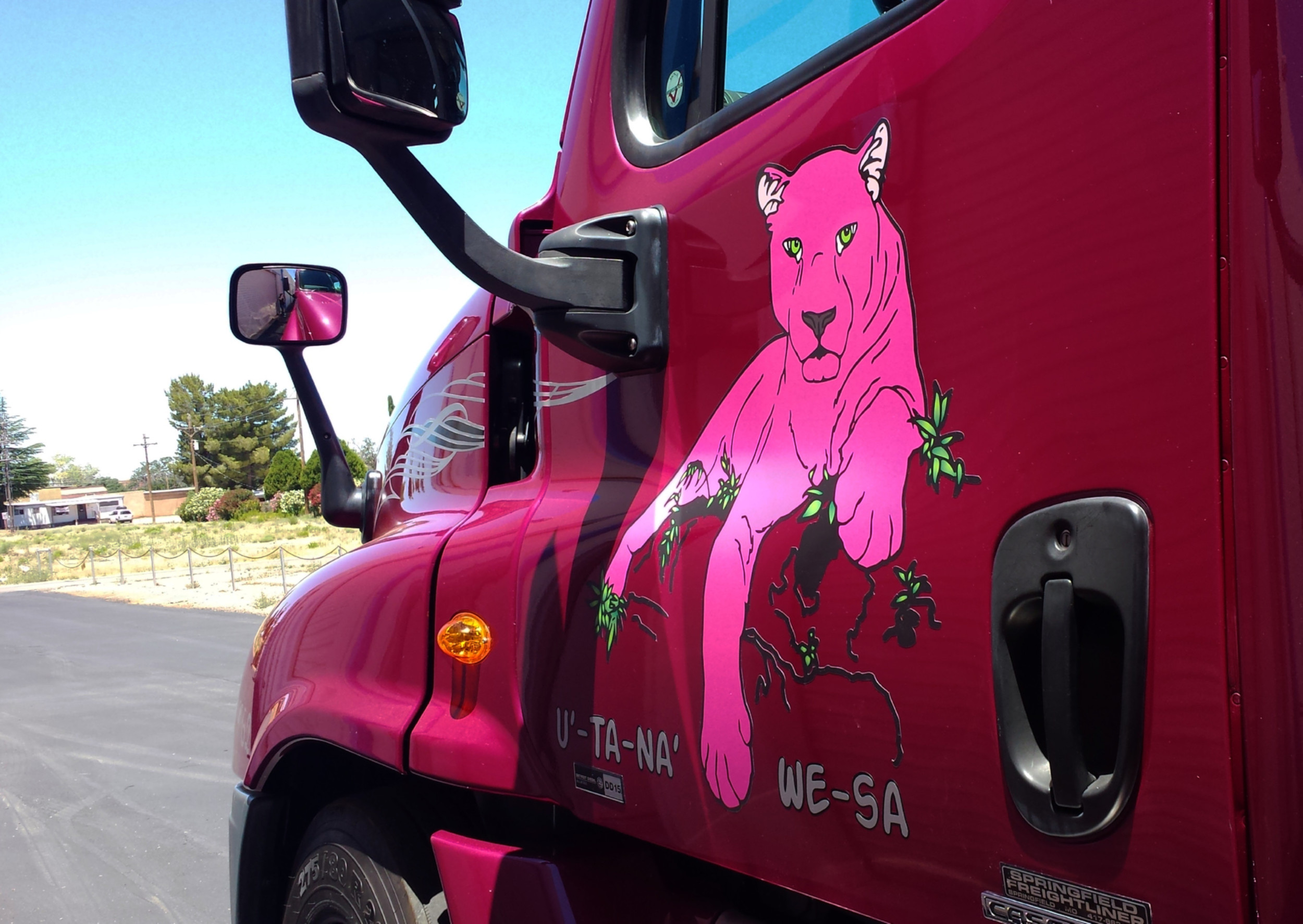 Pink Panther.jpg