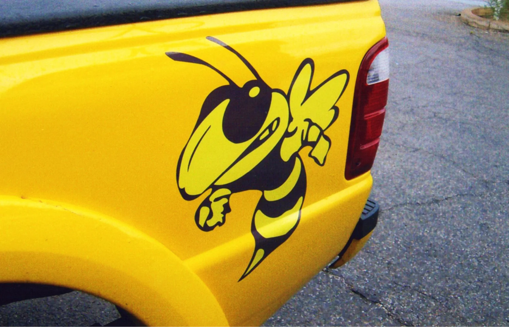 TOMBSTONE YELLOW JACKET.jpg