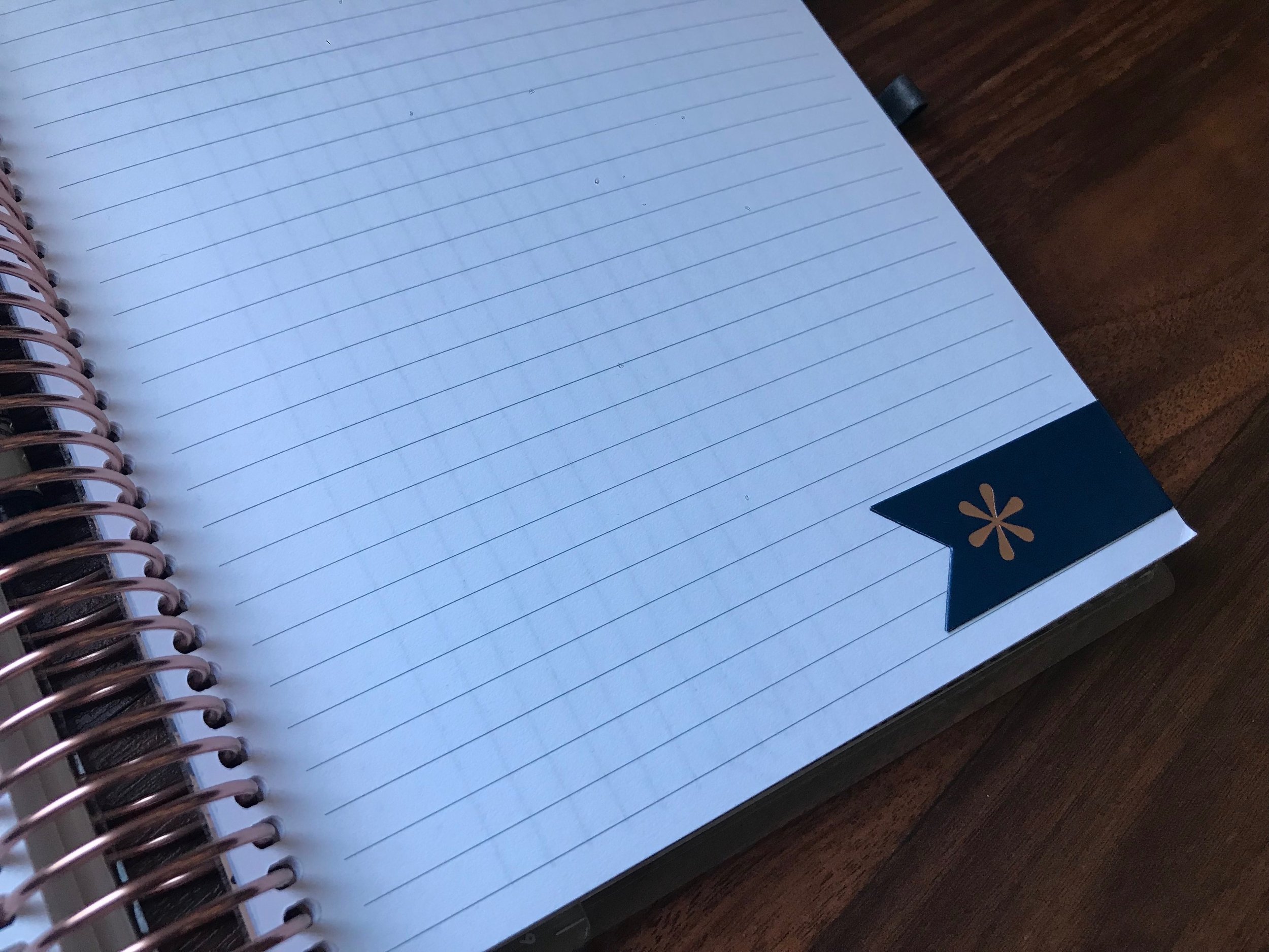 Magnetic Page Marker