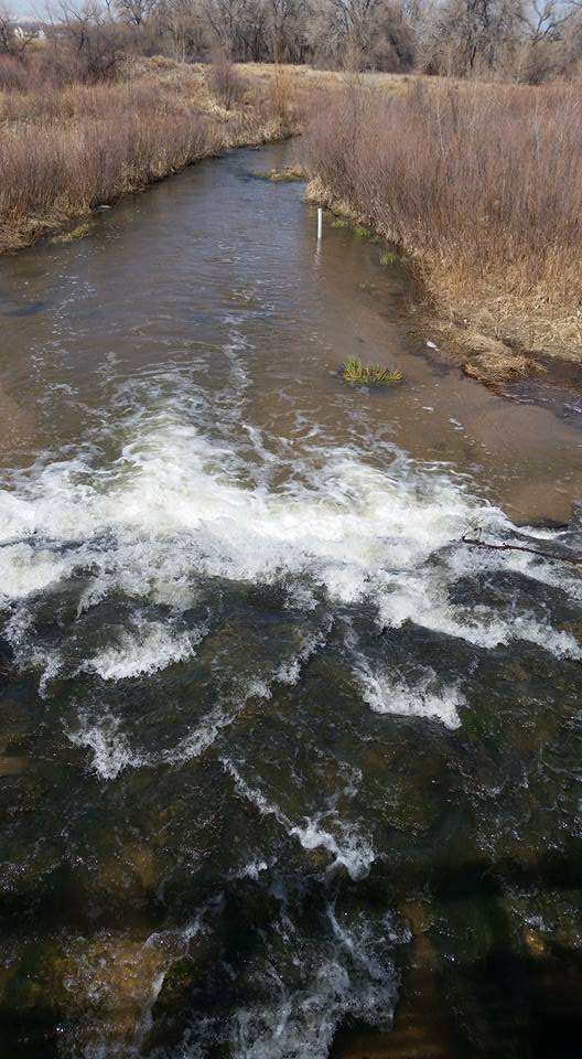 Cherry Creek