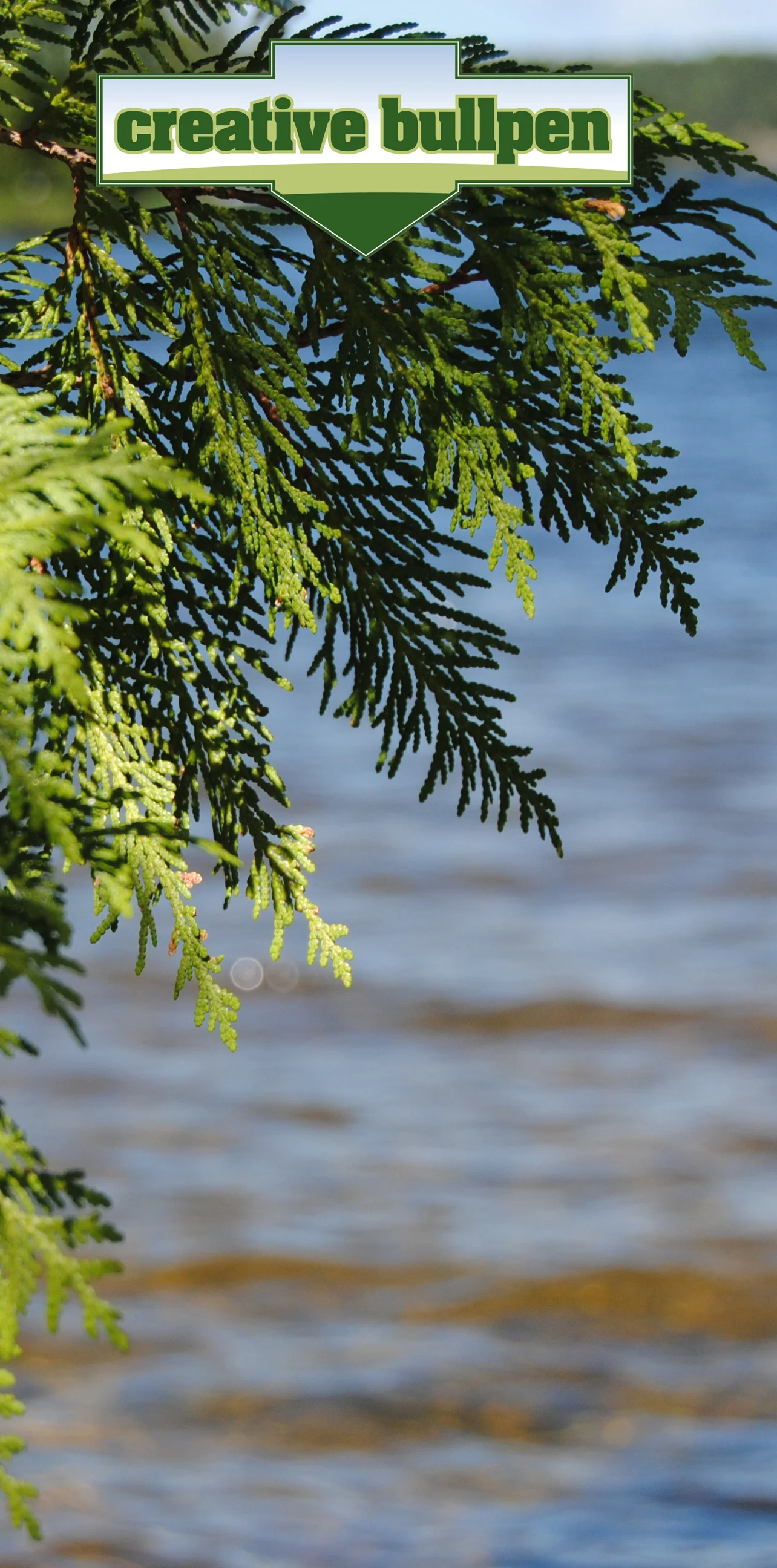 DSC_0196_tree_water_logo_crop5.jpg