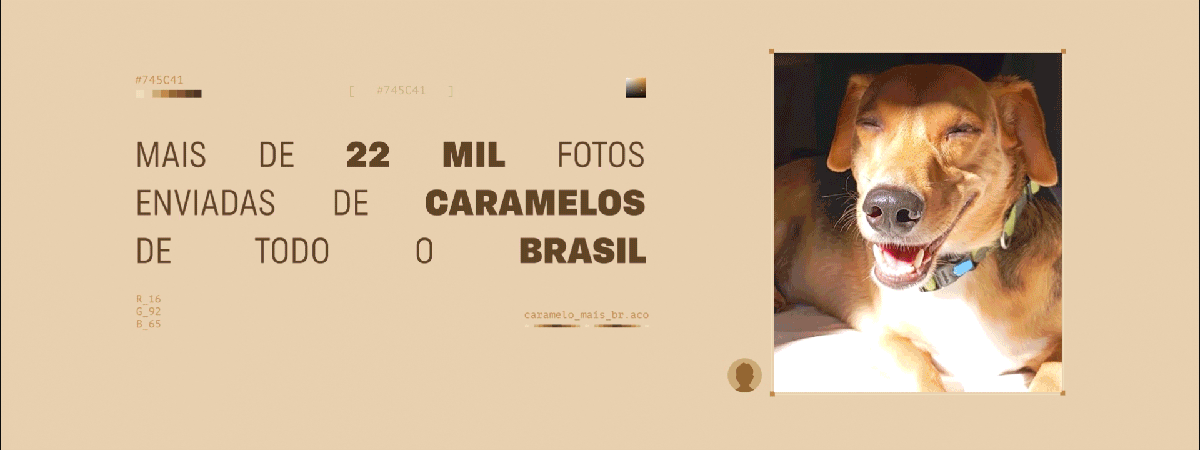 03_fotosrecebidas.gif
