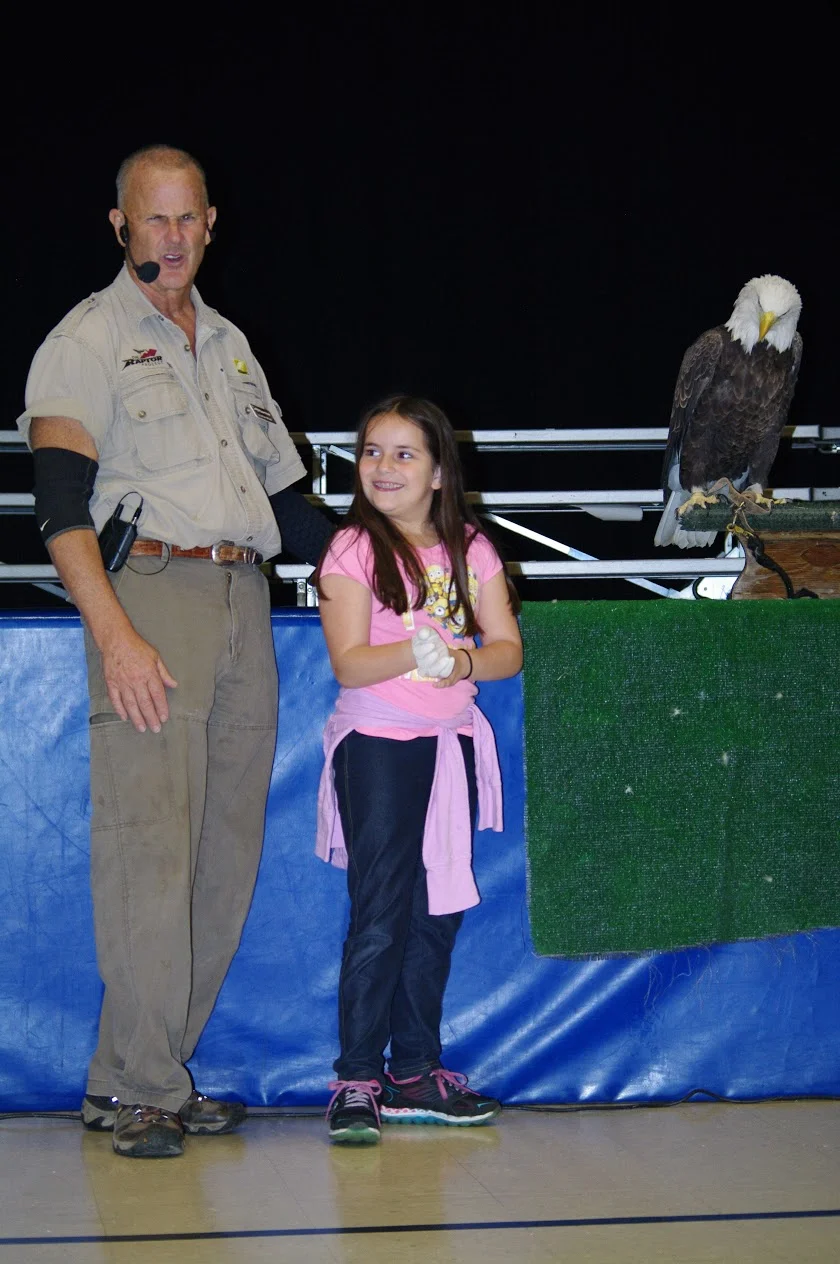 Birds of Prey (3rd grade)