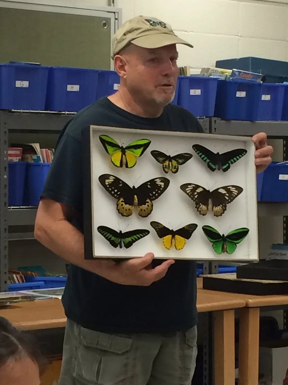 Rainforest Butterflies Program (2nd Grade)