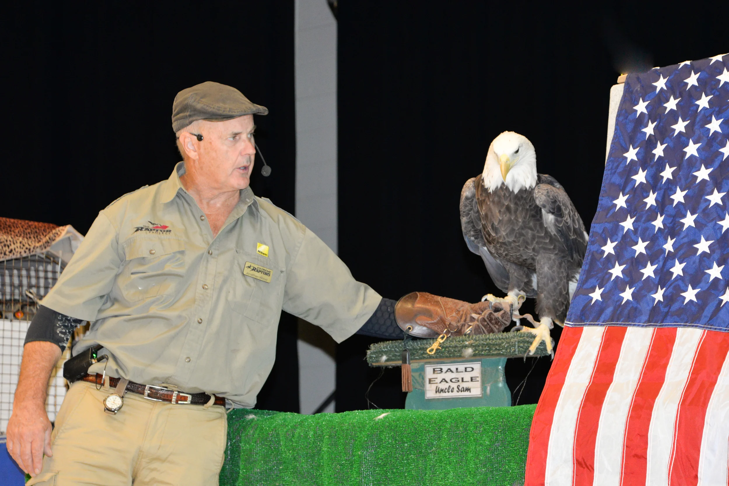Birds of Prey-6.jpg