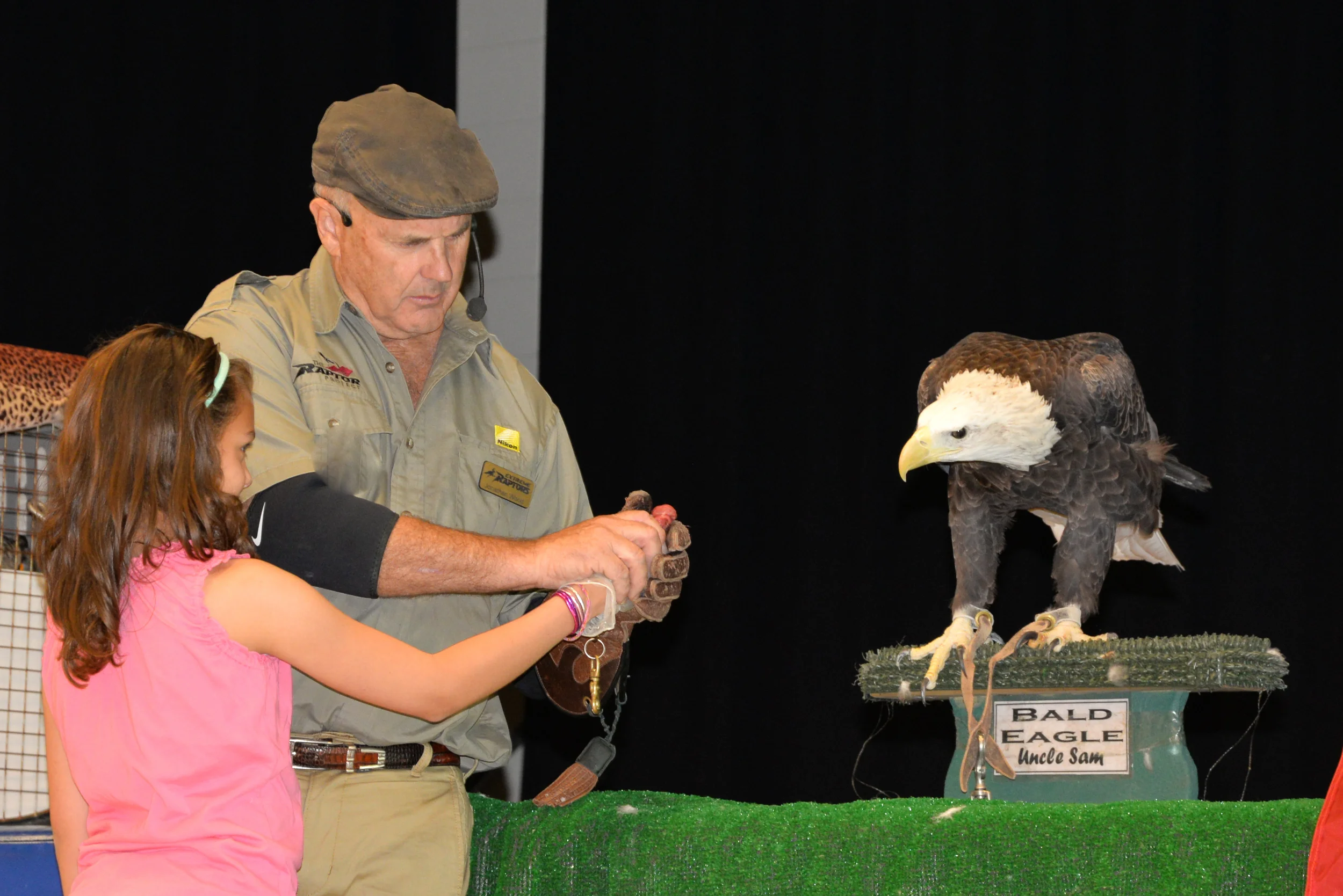 Birds of Prey-8.jpg
