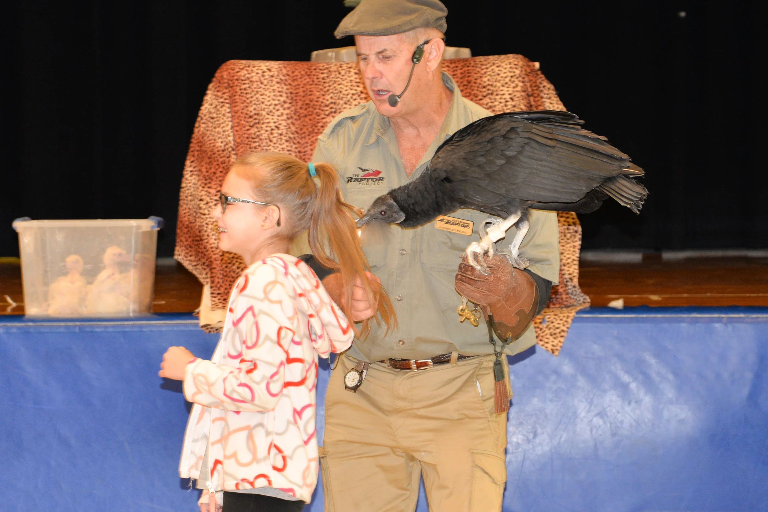 Birds of Prey-20.jpg
