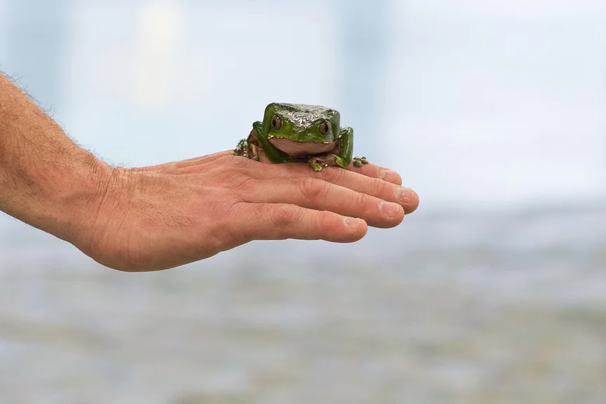 Animals and Habitats_-3.jpg