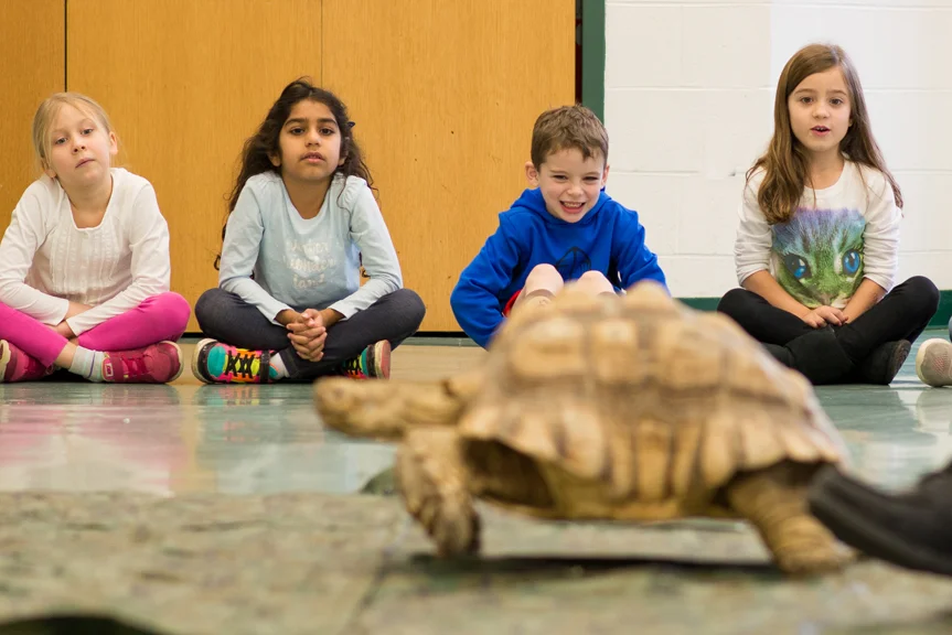 Animals and Habitats_-9.jpg