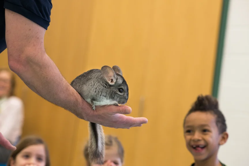 Animals and Habitats_-24.jpg