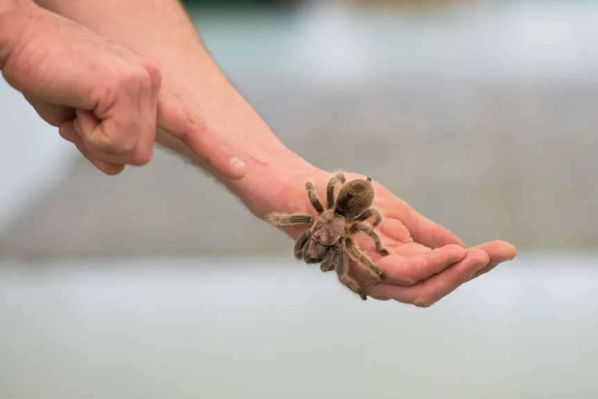 Animals and Habitats_-34.jpg