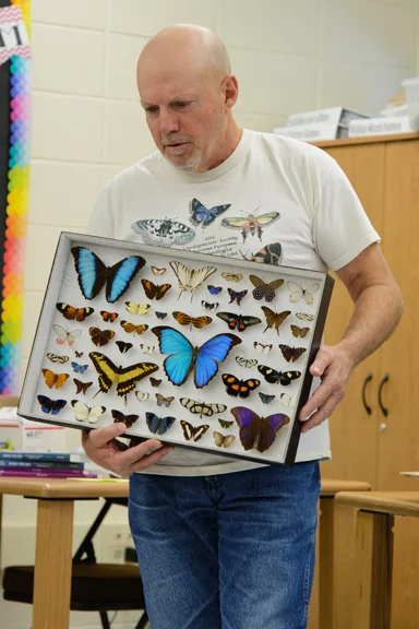 rainforest butterflies-K-5.jpg