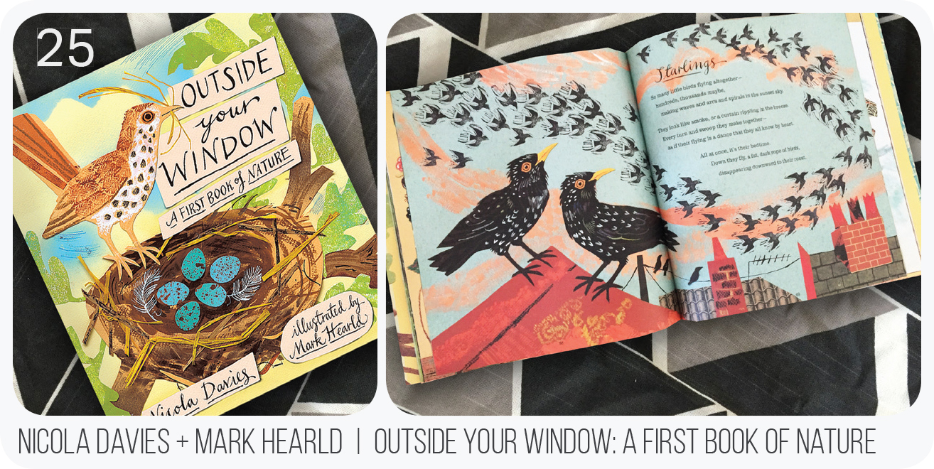 This might be one of the most beautiful books ever. The illustrations are lovely and it is highly educational with beautiful prose. Aurelie loves the pictures right now but I know she will love the words when she is a bit older. It describes all four seasons and is a great introduction to the natural world, 