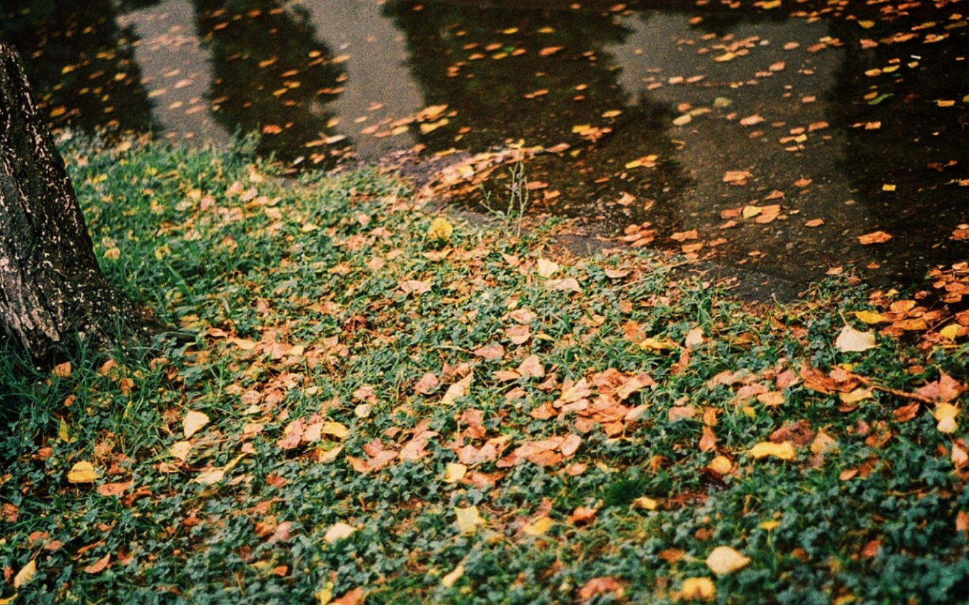 "Untitled" by Diana Spatariu