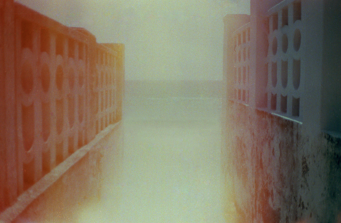 "Untitled" by Benedetta Falugi