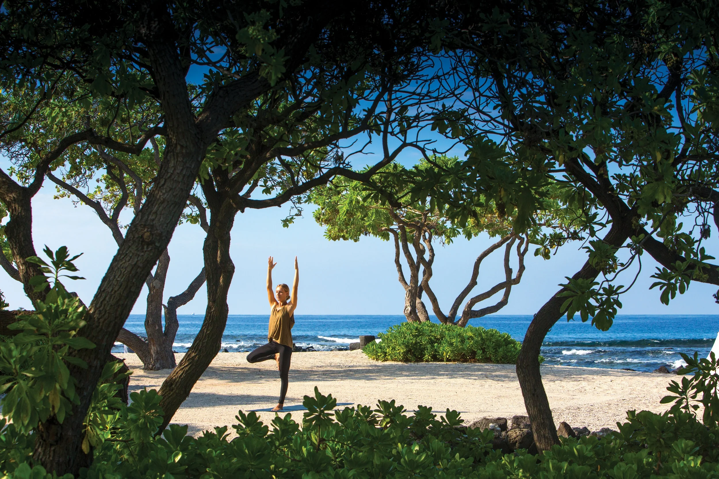 KOHA_Beach_Yoga_v2_3CR_2016.jpg