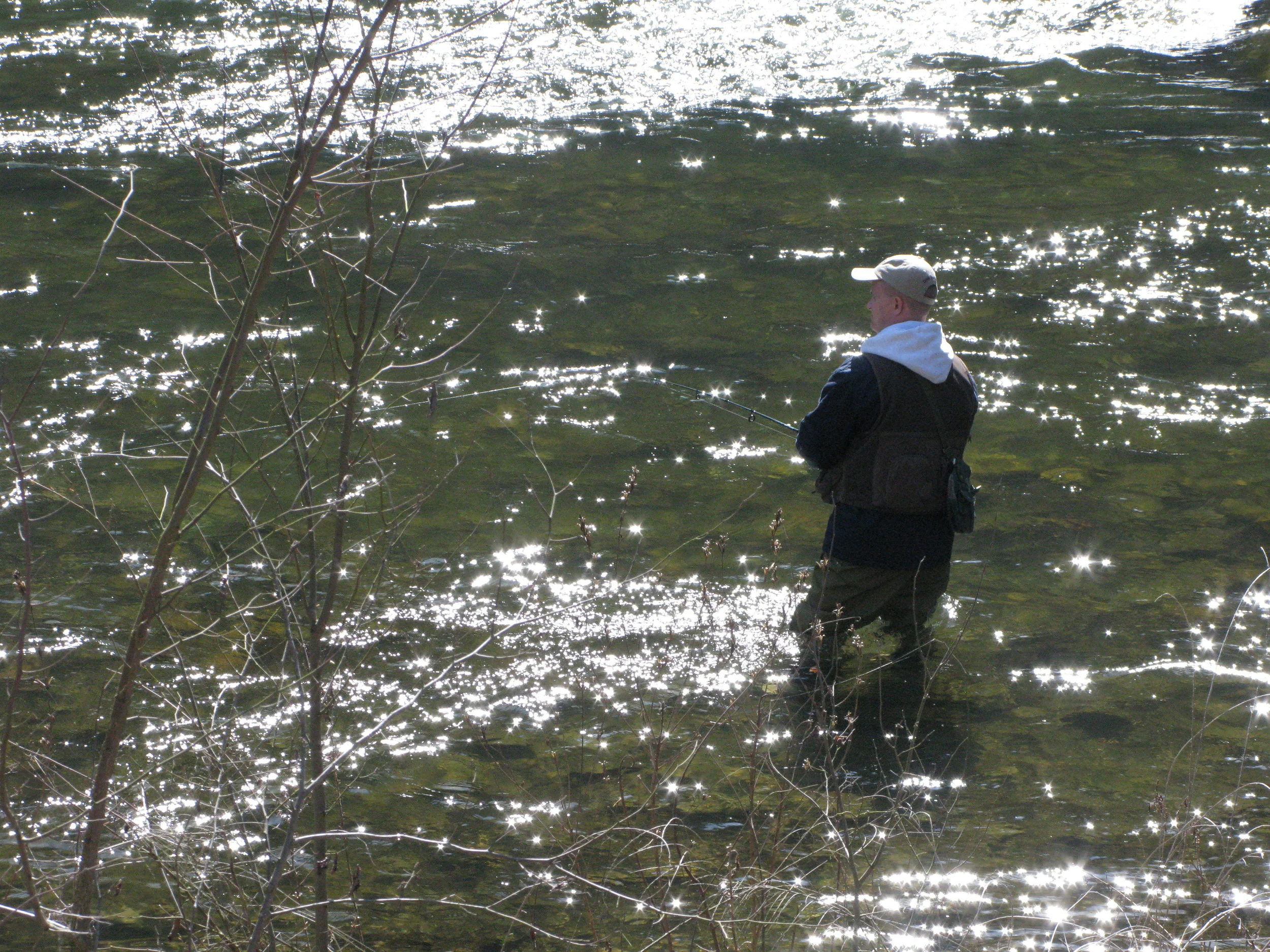 Fishing (Stream) Adventure