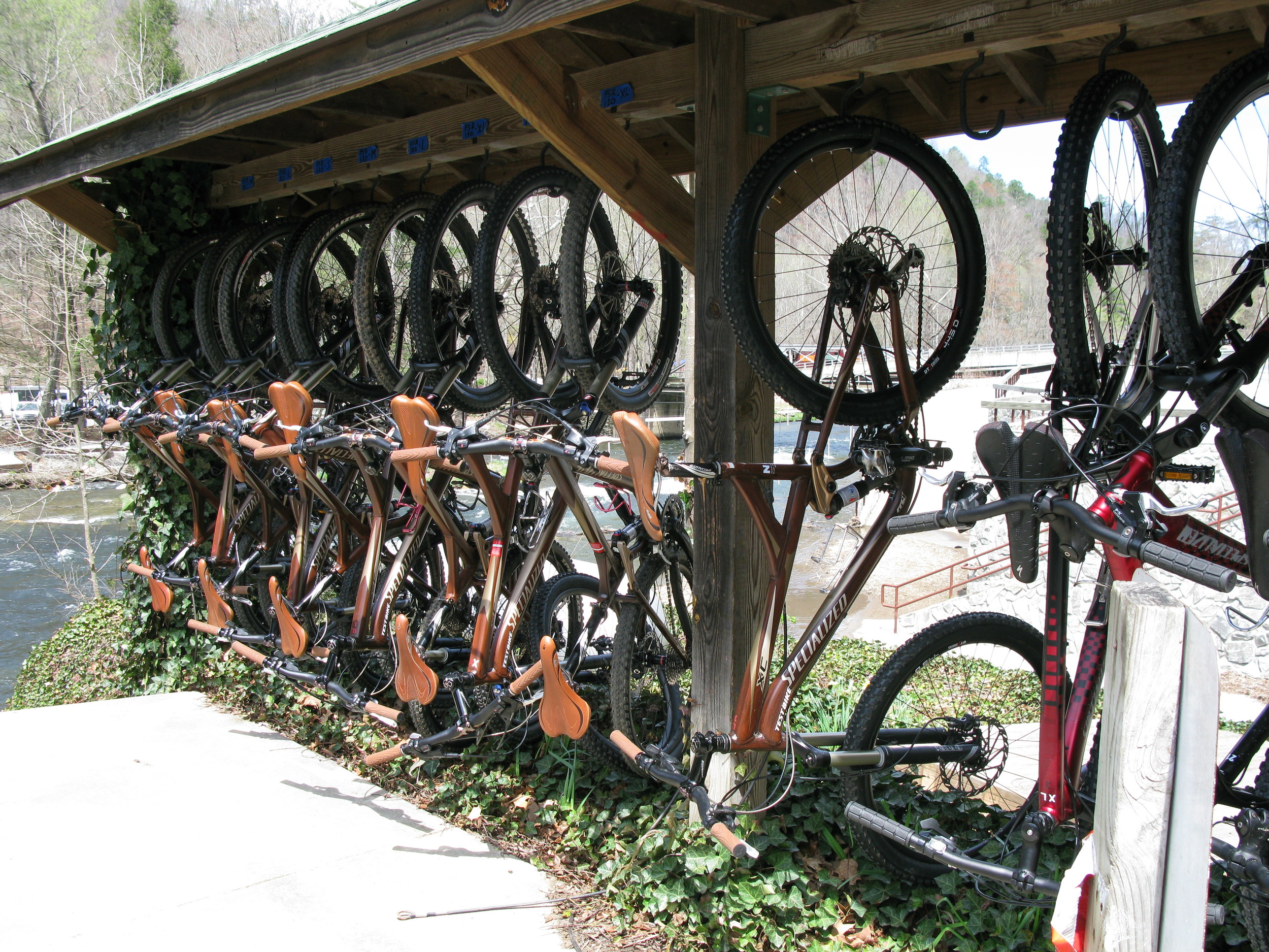 Mountain Biking Adventure